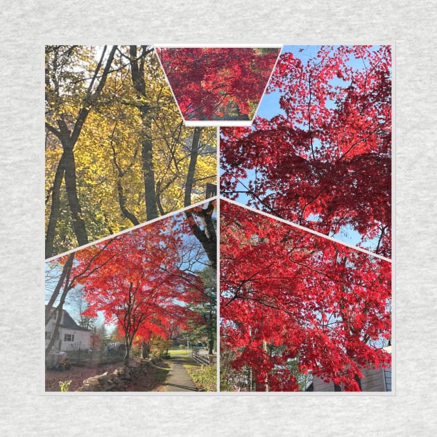 Foliage Collage by Barschall